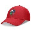 British & Irish Lions Core Structured Adjustable Cap - Red-One Size Only-200915162 Thumbnail